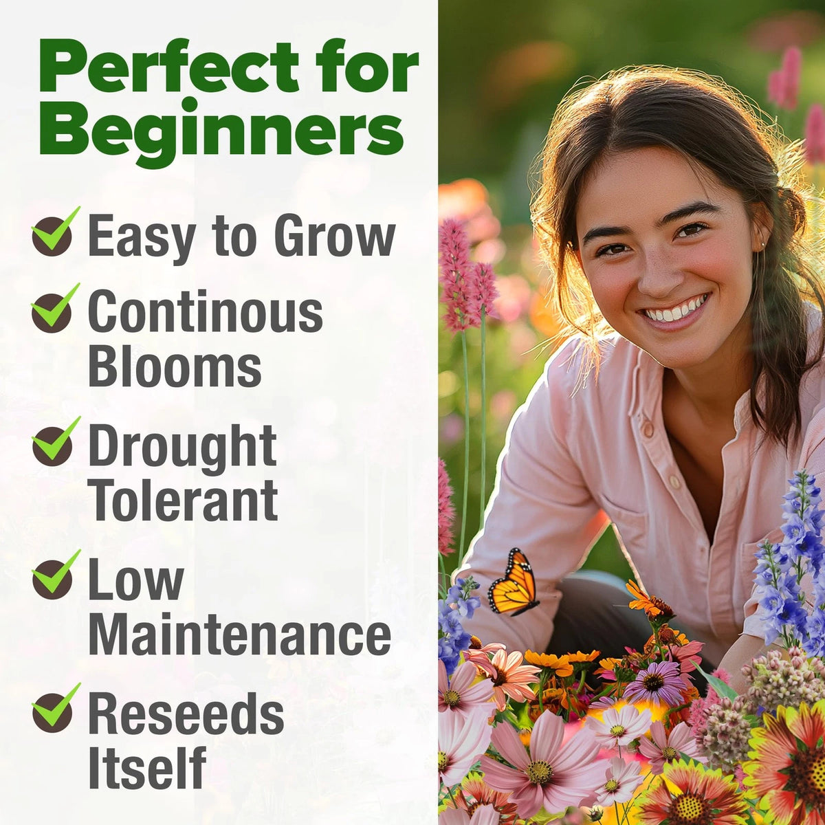 Premium Monarch Butterfly Wildflower Seeds Mix for Gardens (2oz)