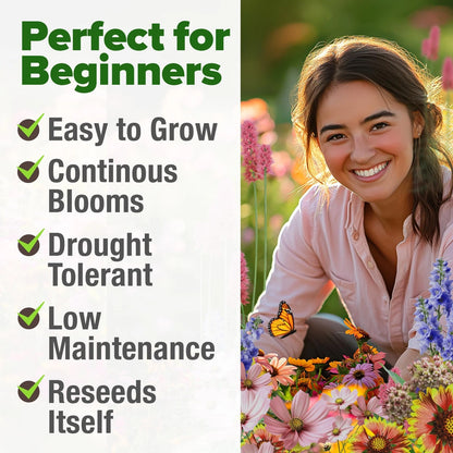 Premium Monarch Butterfly Wildflower Seeds Mix for Gardens (2oz)