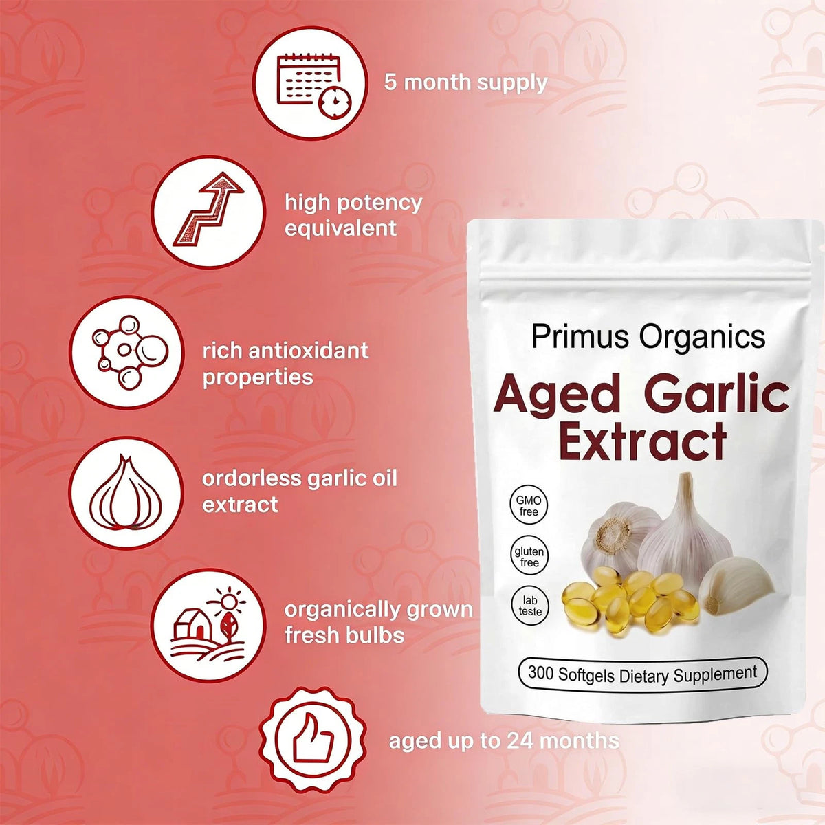 Aged Garlic Extract 300 Count for Health Supplements (Pack of 1)