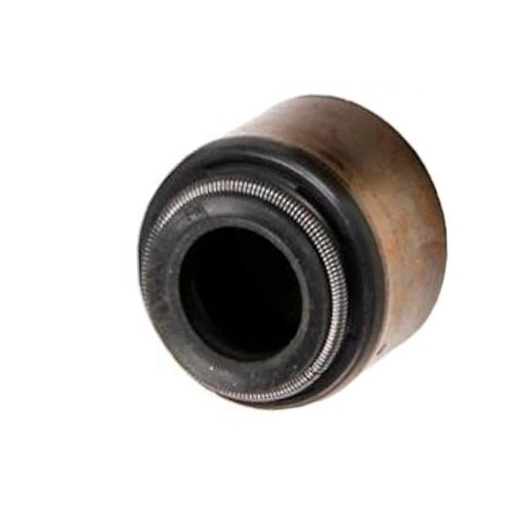 Intake Valve Stem Oil Seal for Chevy Silverado 1500 (1999–2001) OLX-ACD12533586-CL360A52