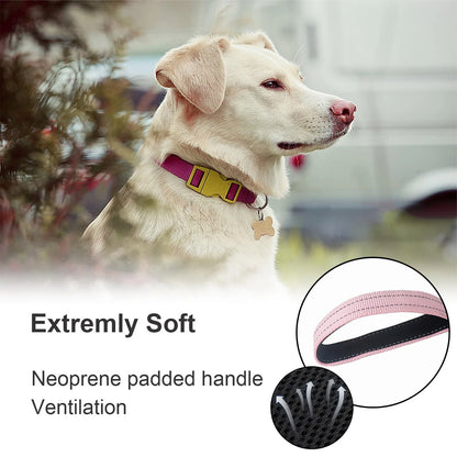 Thick Dual Padded Handle Traffic Dog Leash for Training (18 Inches)