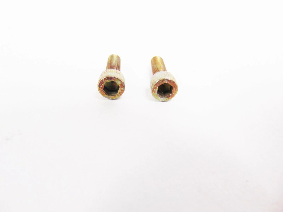 Set of 2 Cap Screws for Arctic Cat Snowmobile (8006-399)