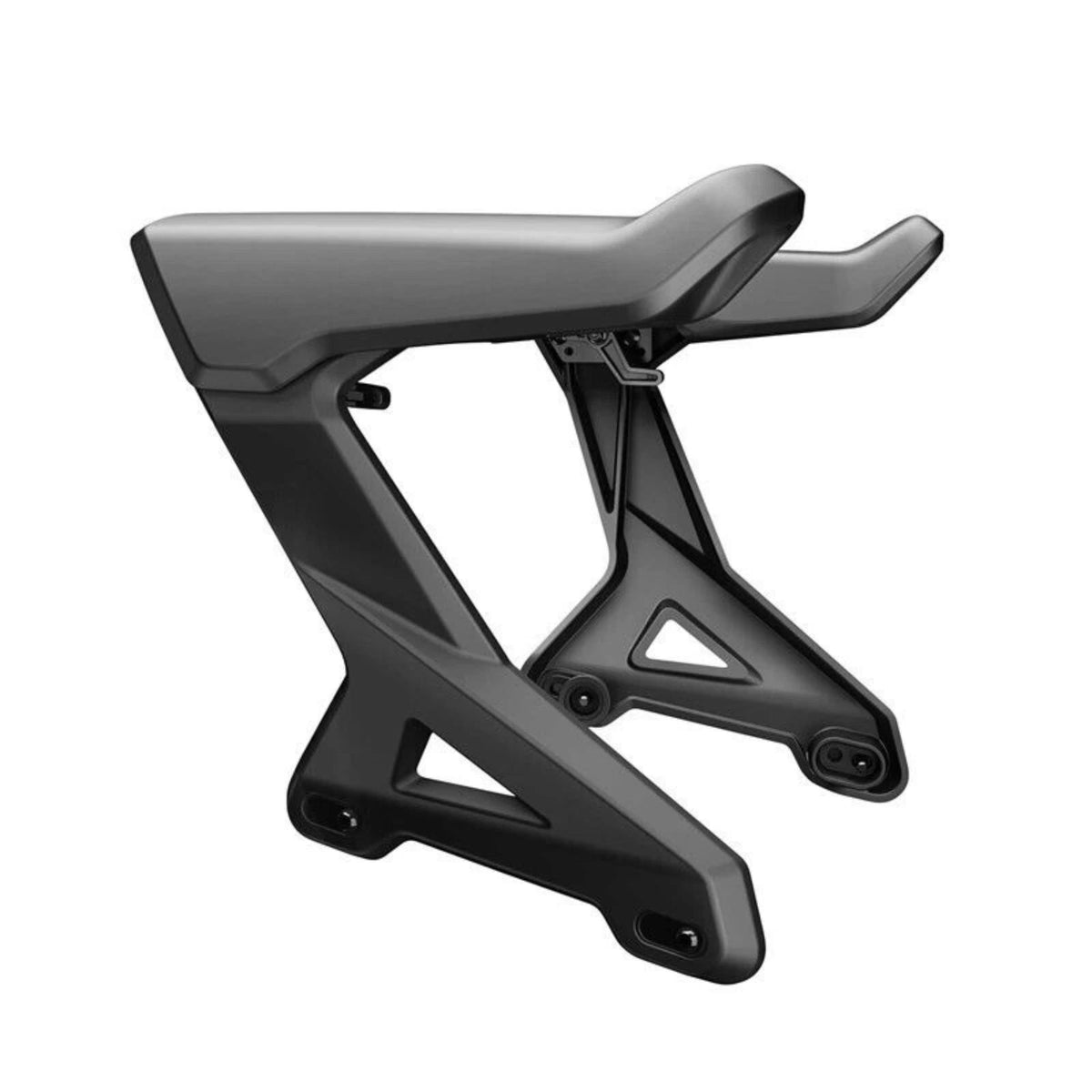 Passenger Armrests for Can-Am Spyder (219400726)