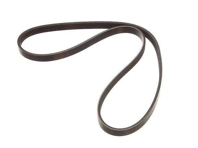 Power Steering Multi Rib Belt for Mazda Protege5 (2002–2003) XC988KV