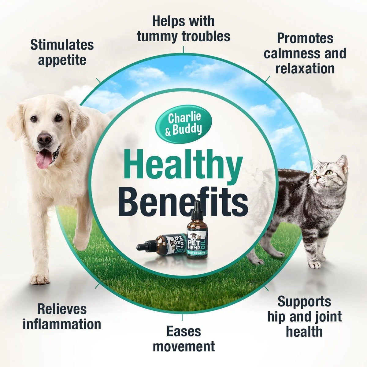 2X Hemp Oil for Dogs Cats (1 Fl Oz Pack)