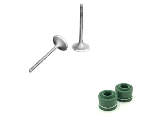Set of 4 Engine Valves for Honda TRX300FW FourTrax (1988–2000) 9007, 9002, 101