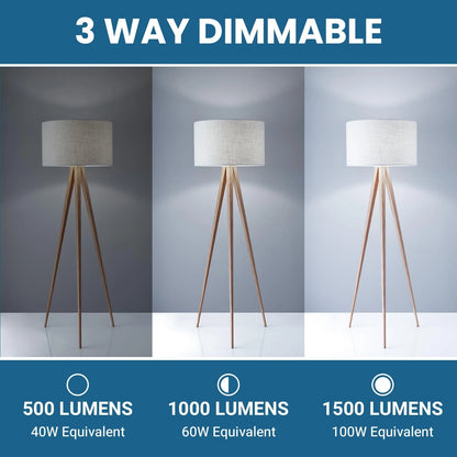 2X 3 Way Light Bulbs for TJOY (40/60/100W Equivalent, 5000K)