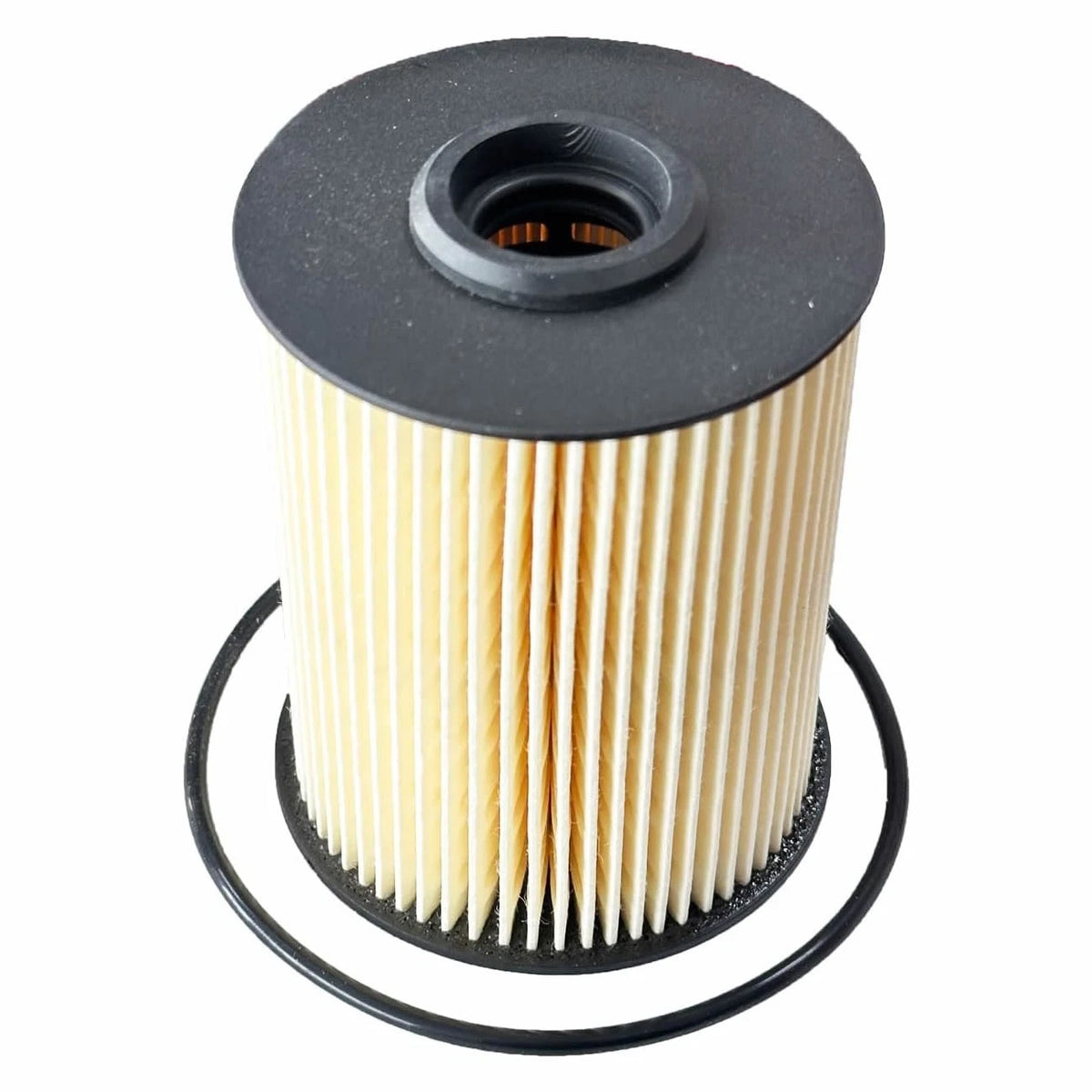 Fuel Filter for Dodge RAM 2500 3500 5.9L Cummins Turbo Diesel (F55360, 5015581AA)