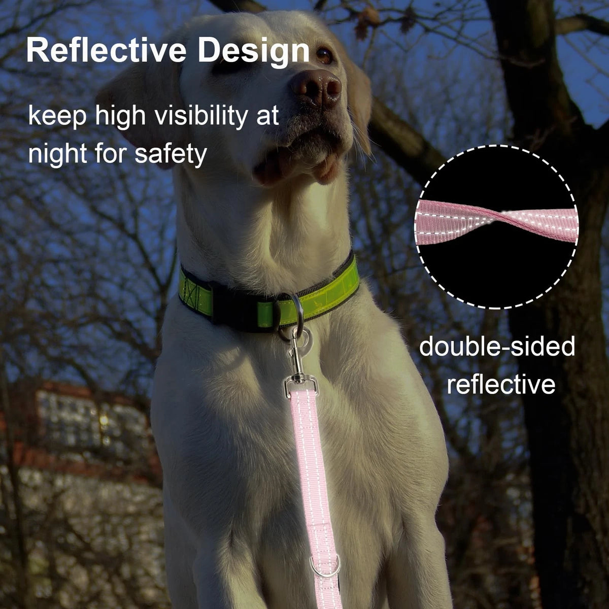 Thick Dual Padded Handle Traffic Dog Leash for Training (18 Inches)