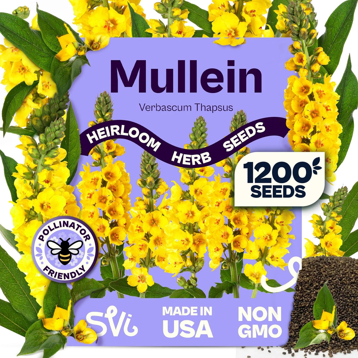 Mullein Seeds for SVI 1200 (Verbascum thapsus) - Great Yellow