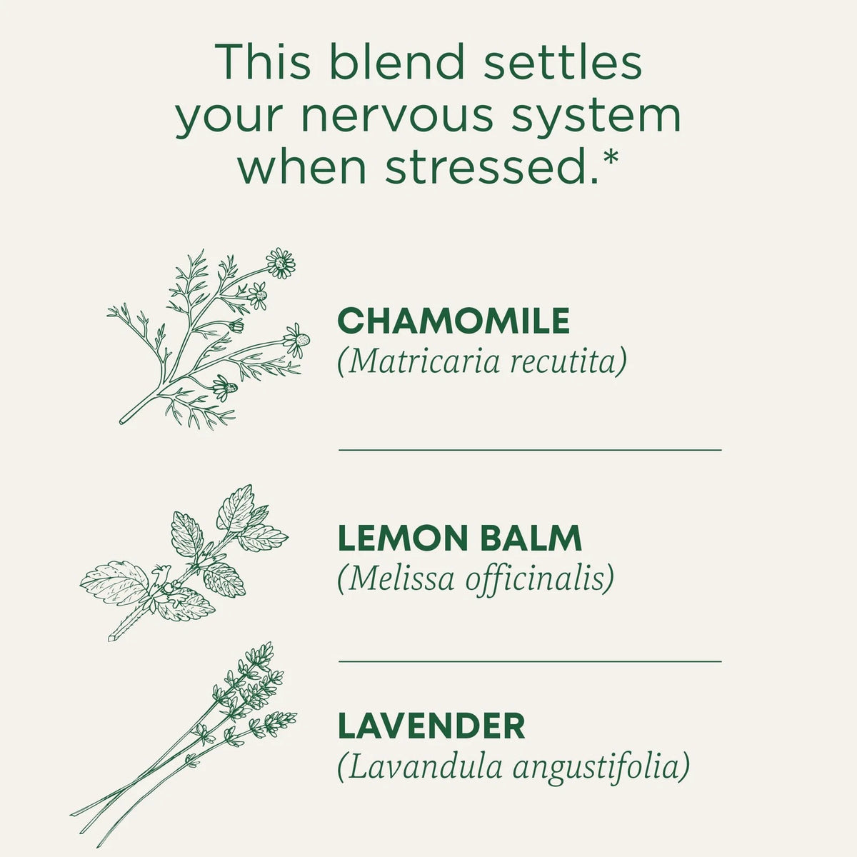 Organic Chamomile & Lavender Tea for Relaxation (48 Count)