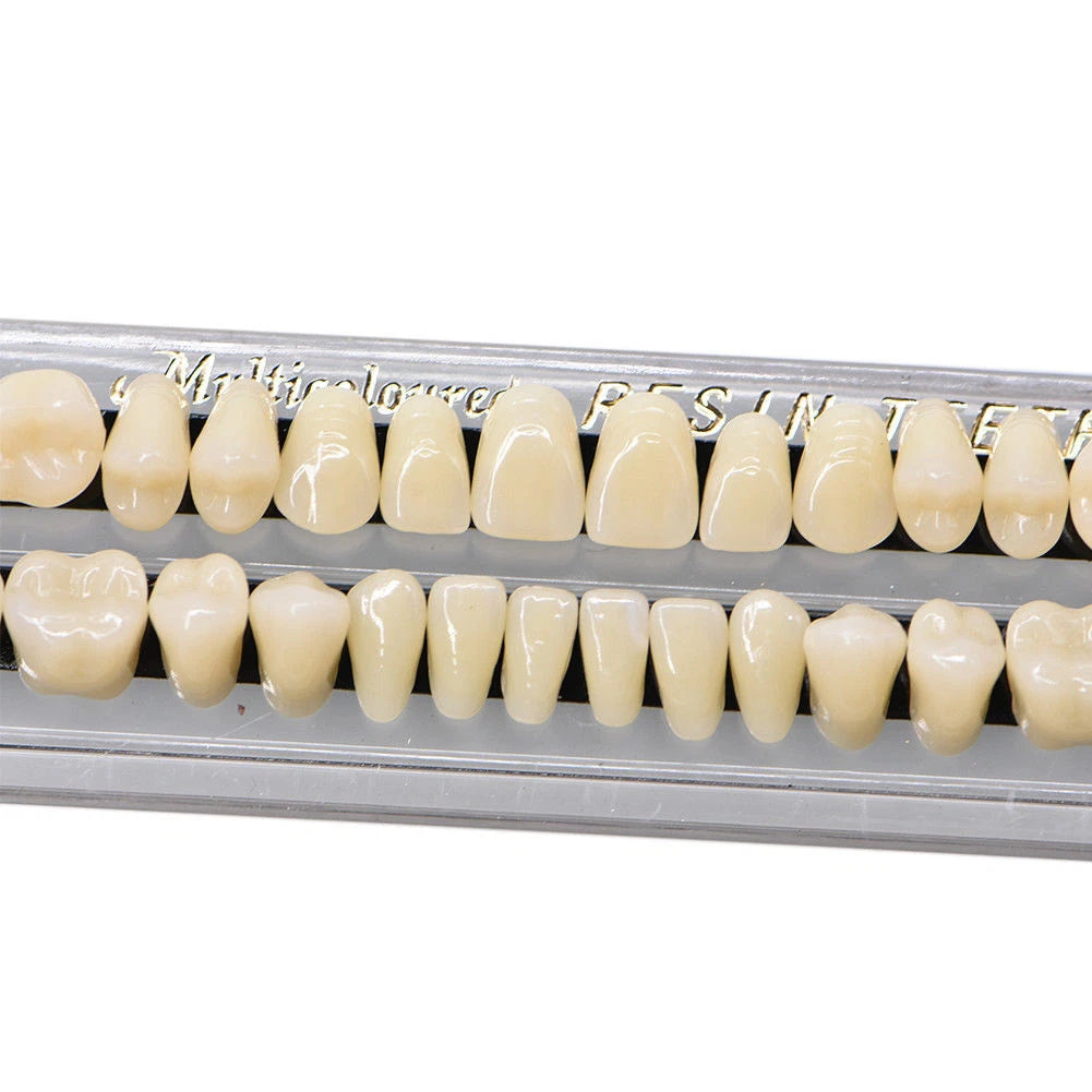 Set of 5 Dental Acrylic Resin Denture Shade #23 A3 Upper Lower Full Set