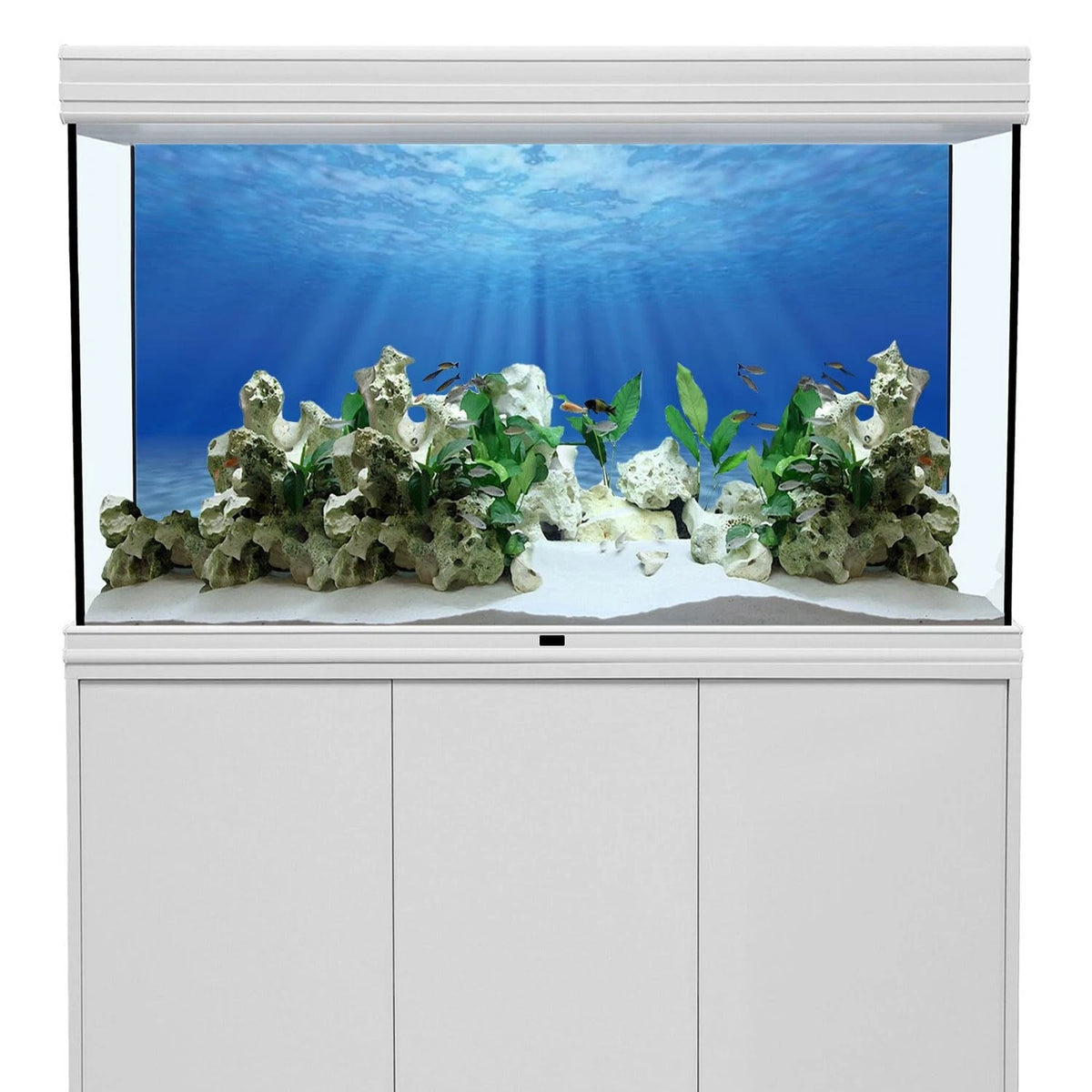 48x24 Inch Ocean Floor Undersea Aquarium