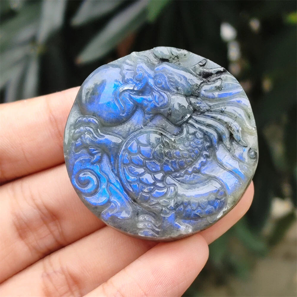 Natural Labradorite Carved Dragon Skull Crystal Reiki Healing for All Models