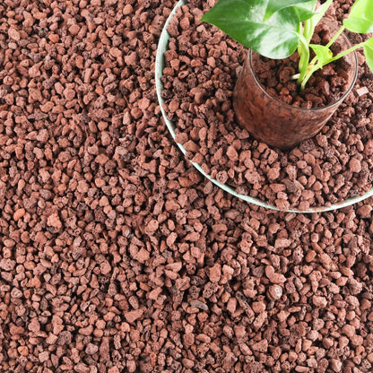 18LB Red Lava Rocks for Plants (Volcanic Rock Horticultural Soil)