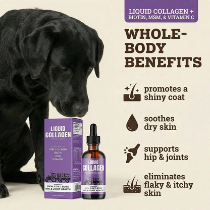 Premium Grass-Fed Liquid Collagen for Back 40 Dogs