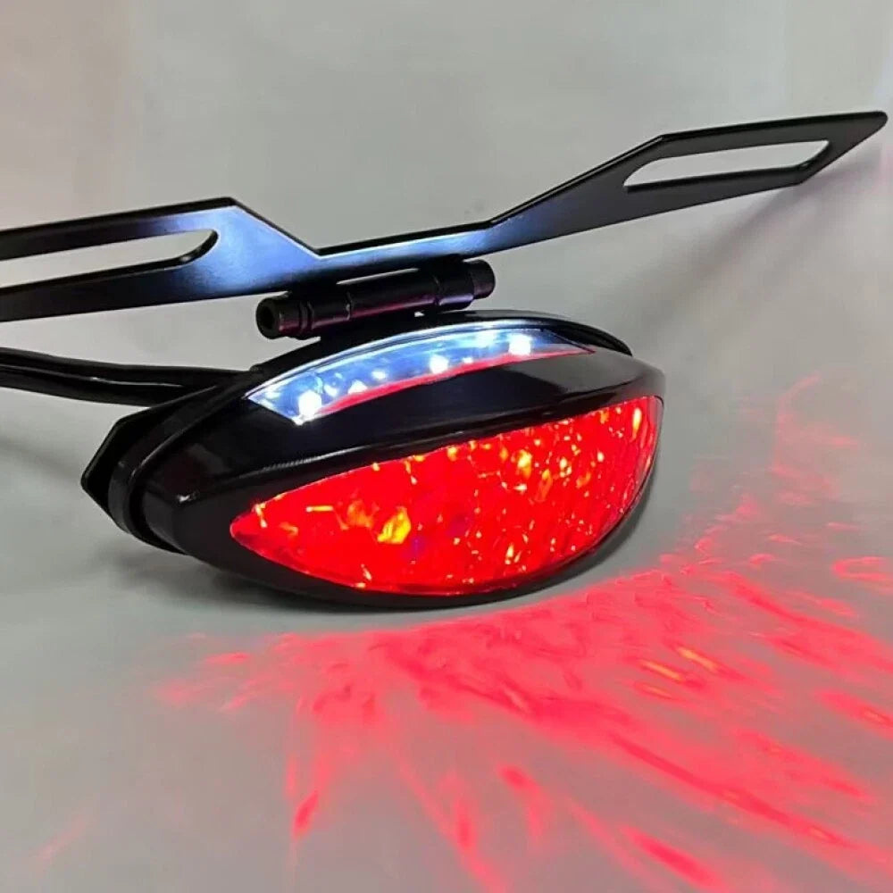 LED Rear Brake Tail Light for Motorcycle REC Dirt Bike