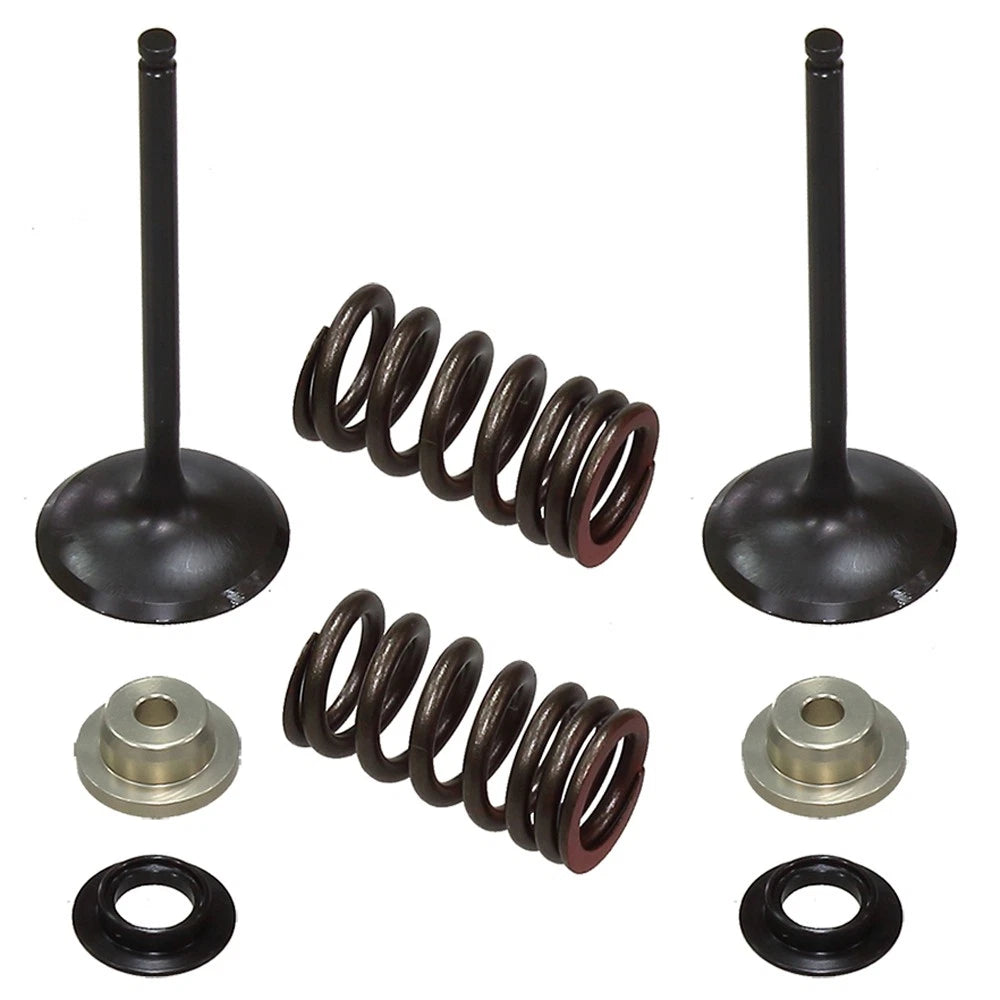 Psychic Intake Valve Kit for Suzuki RM-Z250 (2007–2009) XU-09530IK