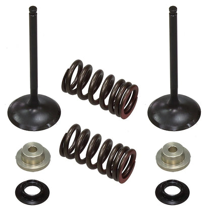 Psychic Intake Valve Kit for Suzuki RM-Z250 (2007–2009) XU-09530IK