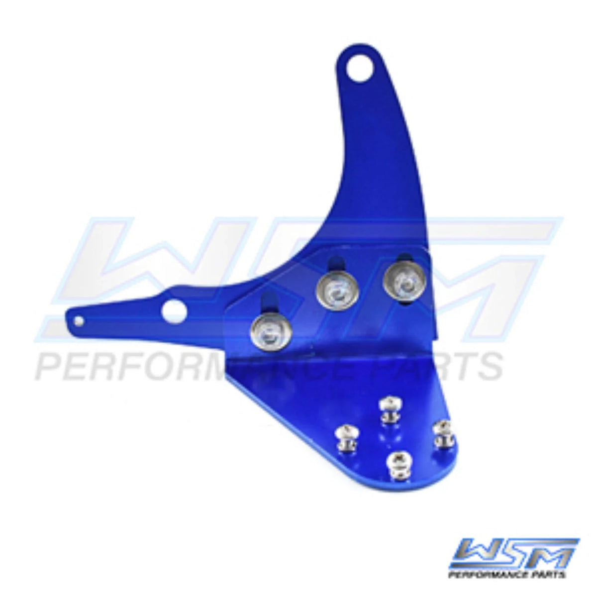 Bilge Pump Bracket Mount for WSM (2010–2023)