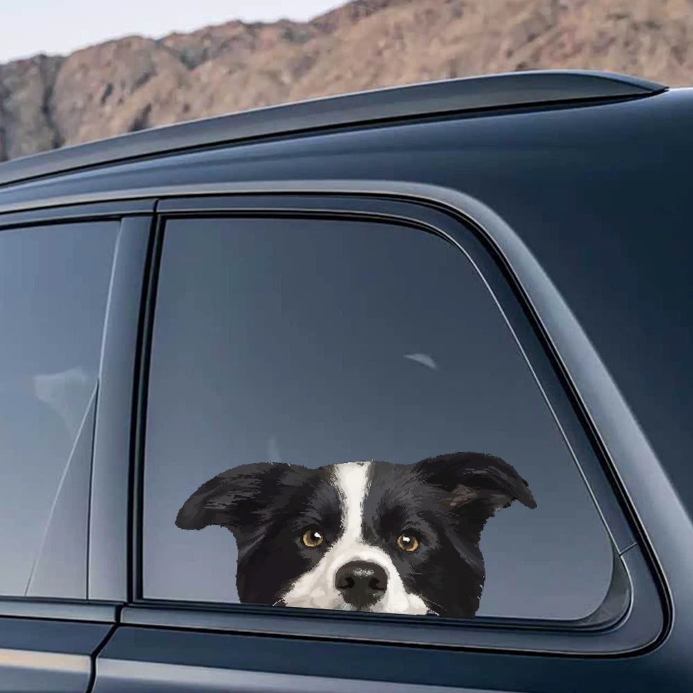 Waterproof Border Collie Stickers for Luggage & Car Windows