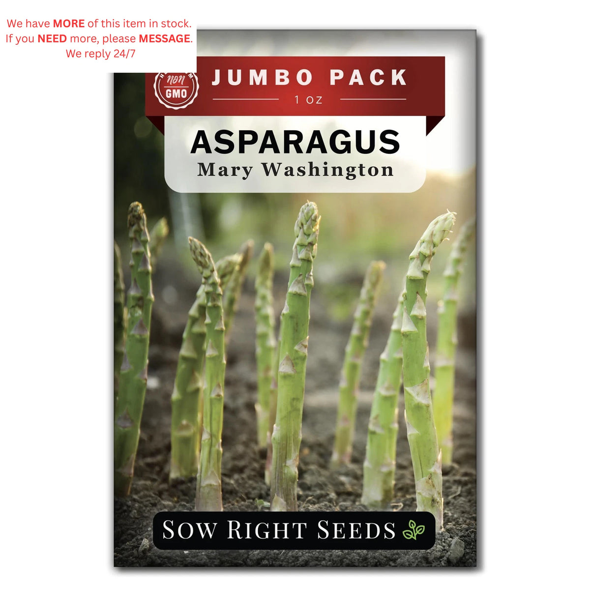 Bulk Mary Washington Asparagus Seeds for Planting (1 Green)
