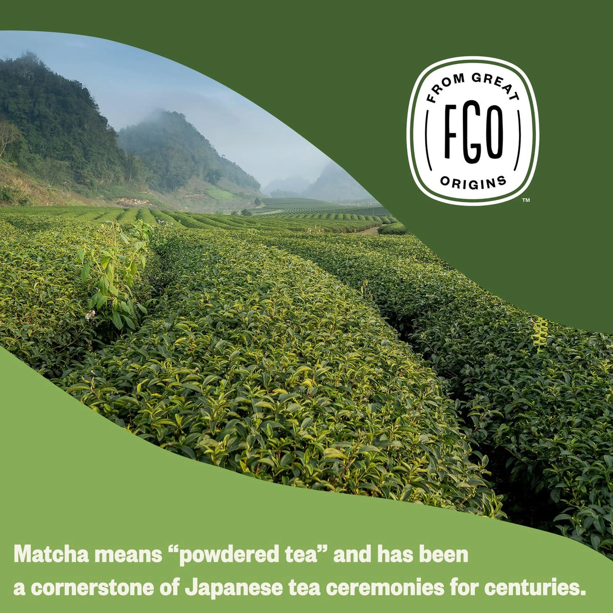 Organic Matcha Green Tea Powder for 4 Ounce (Pack of 1)