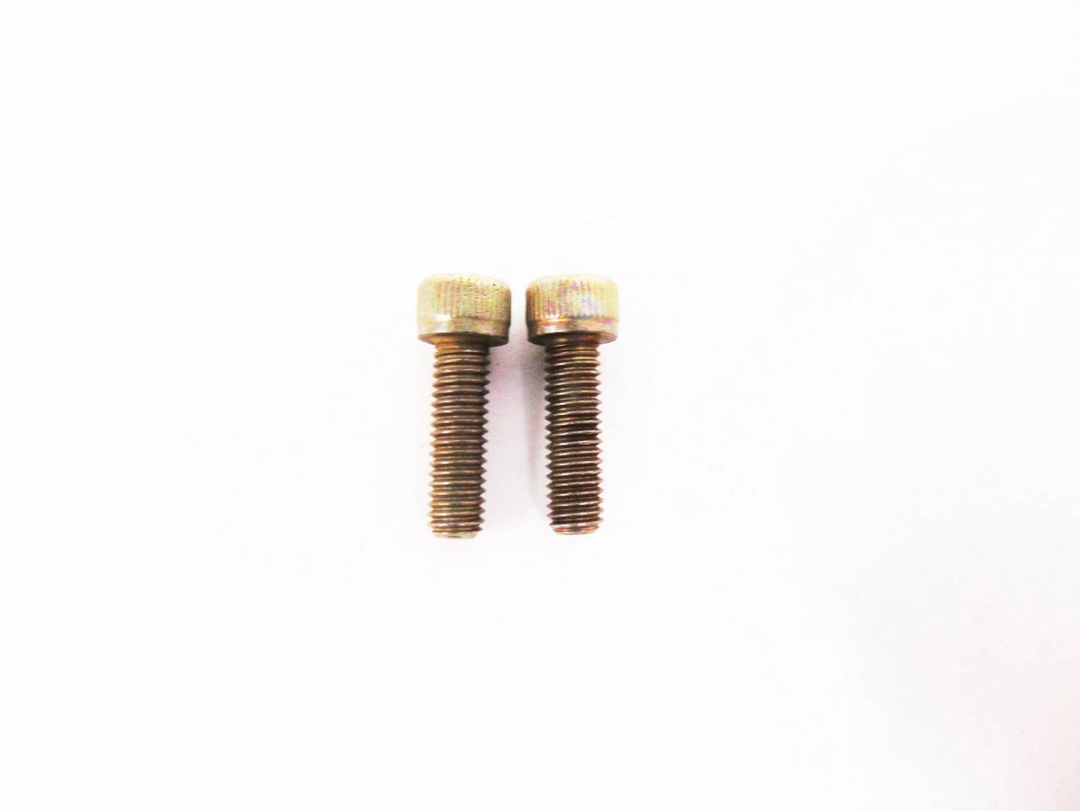 Set of 2 Cap Screws for Arctic Cat Snowmobile (8006-399)
