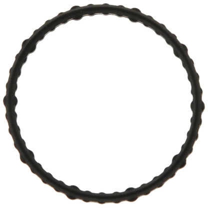 Water Pump Gasket for Ford Edge Taurus Flex Lincoln MKX Mercury Sable (OEM) 19-50173ON, 11950173-101, 7T4Z8590A