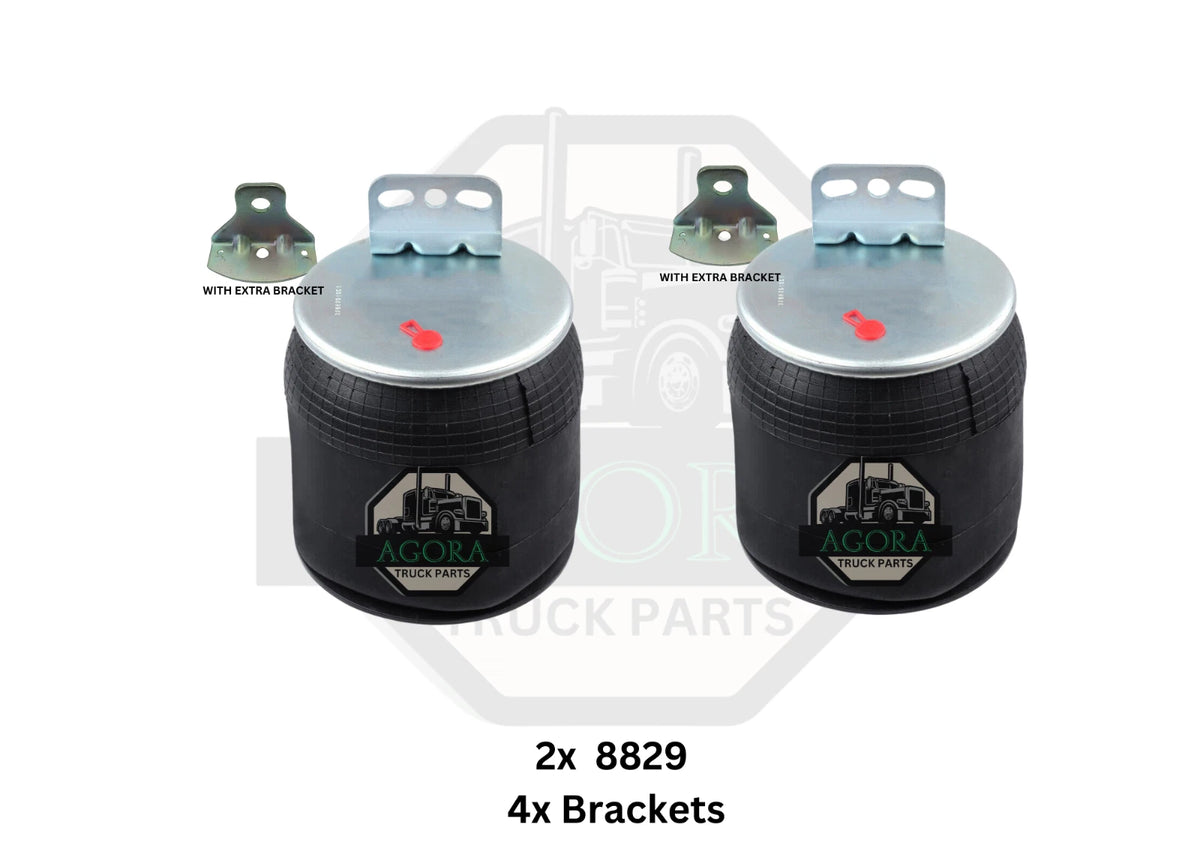 2X Air Spring Bag for Volvo (W01-358-8829)