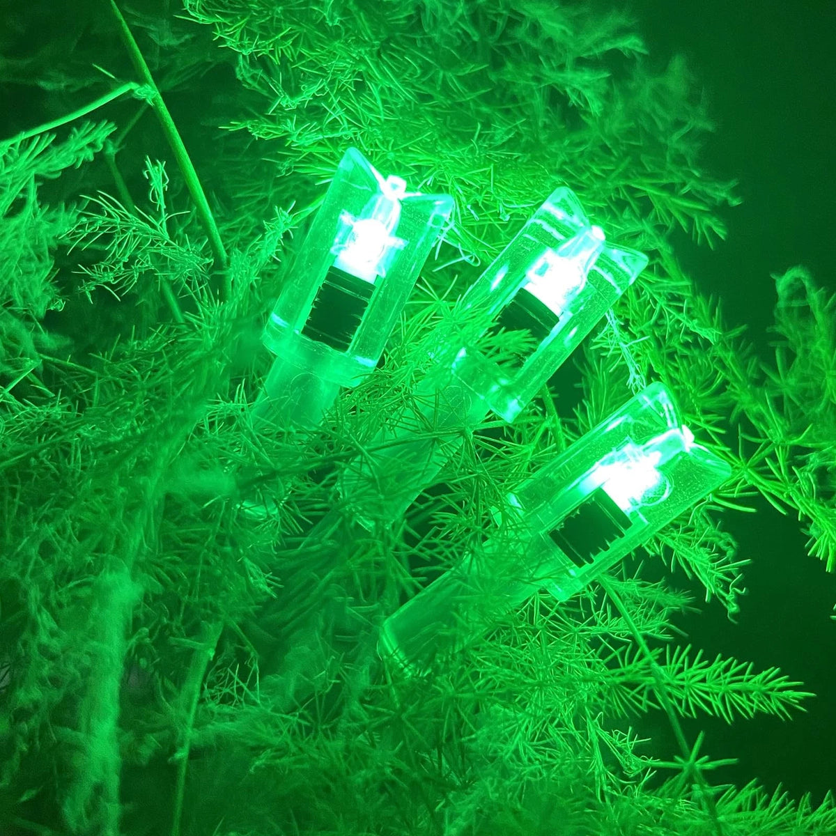 6 Pack Lighted Nocks for Crossbow Bolts with .285”/.297”/.300”/.305” Bushings
