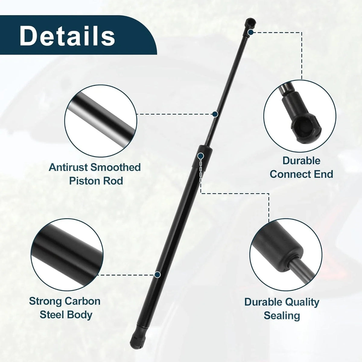 Tailgate Lift Support Gas Struts for Audi TT Quattro (2016–2021)