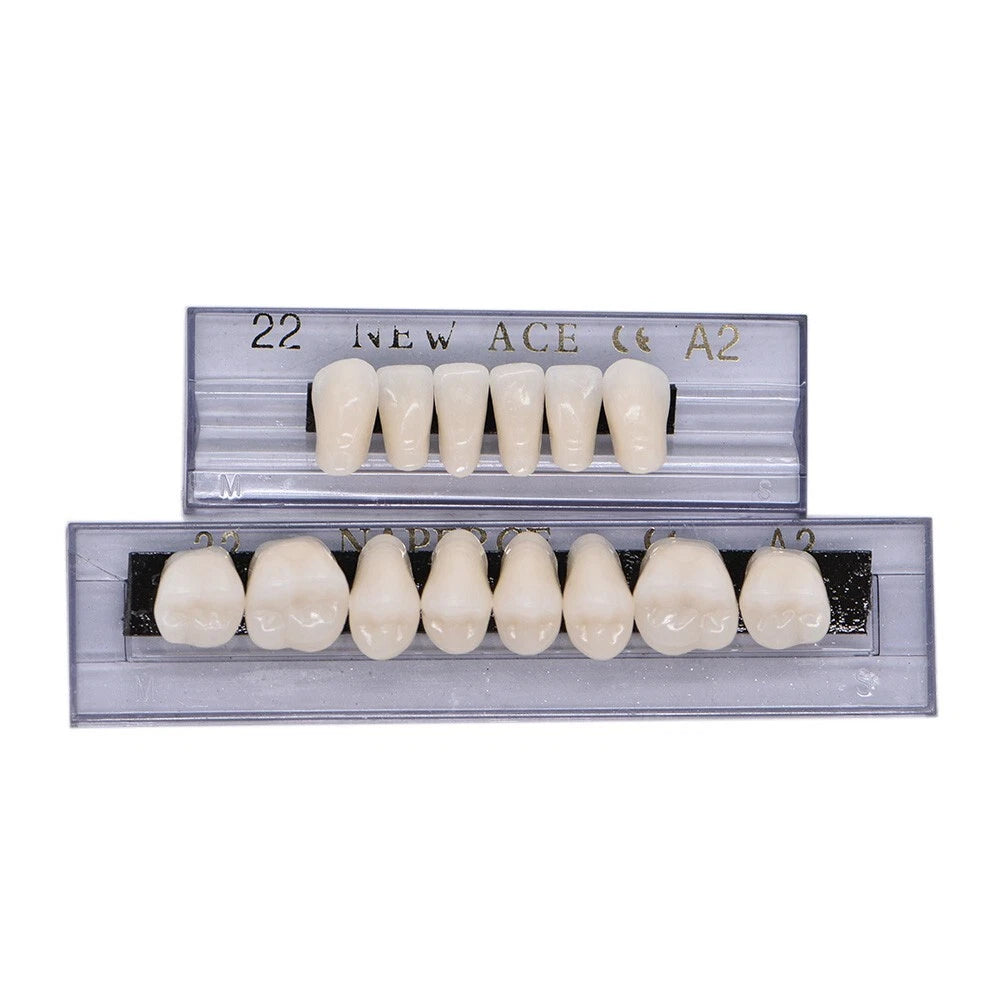 Set of 10 Dental Acrylic Resin Denture Teeth Upper Lower Shade A2