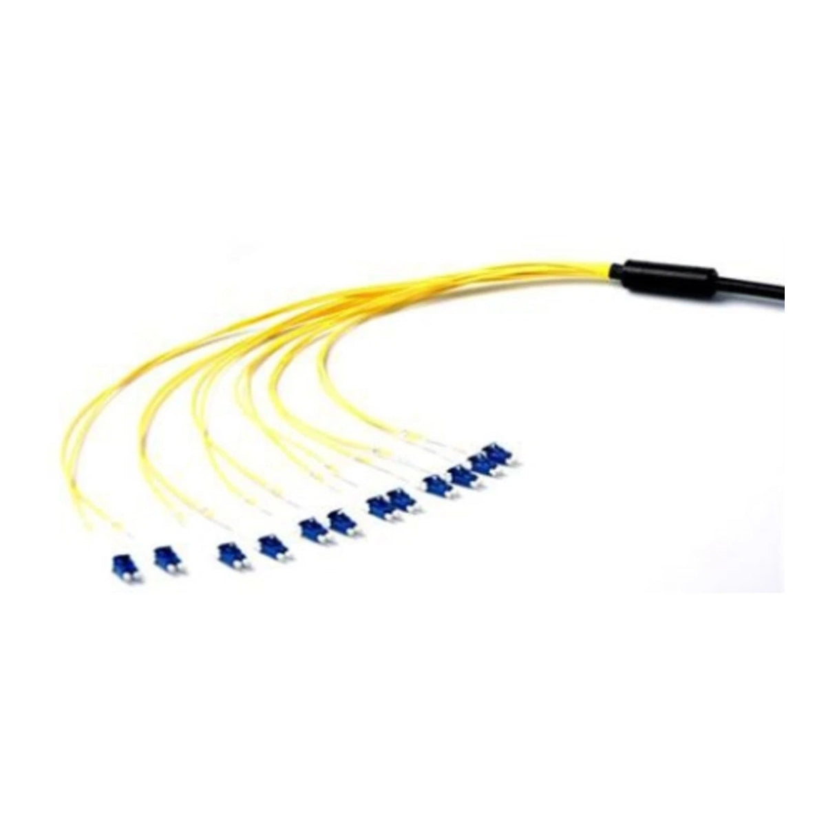 50m LC-LC SM 12 Fiber 6-Ch Trunk for CommScope Amphenol