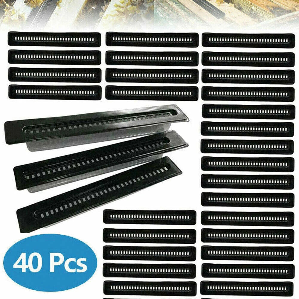 40X Black Small Bee Hive Beetle Blaster Trap for Beekeeping Tool