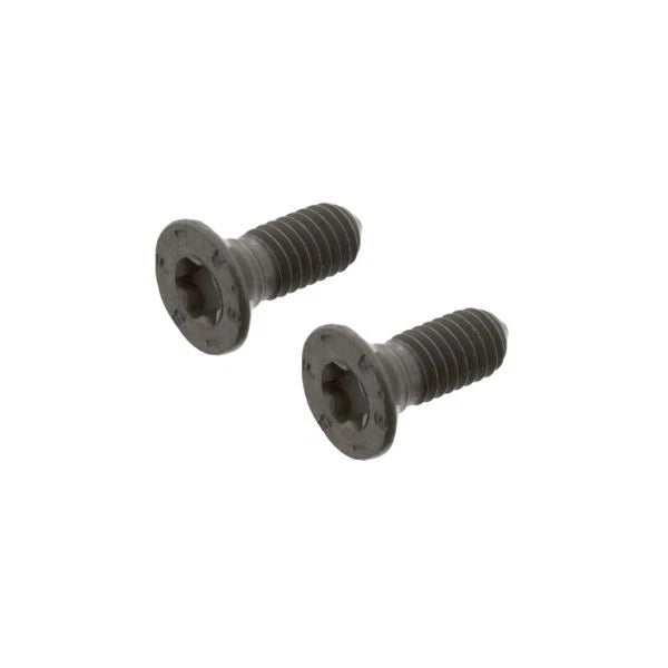 Brake Disc Screw Set X2 for Volvo XC60 II 246 (2017–Present)