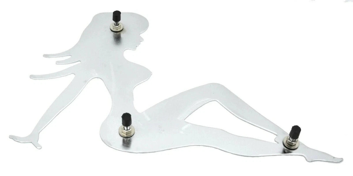 Mud Flap Plate for (17" Wide, Chrome, 90010)