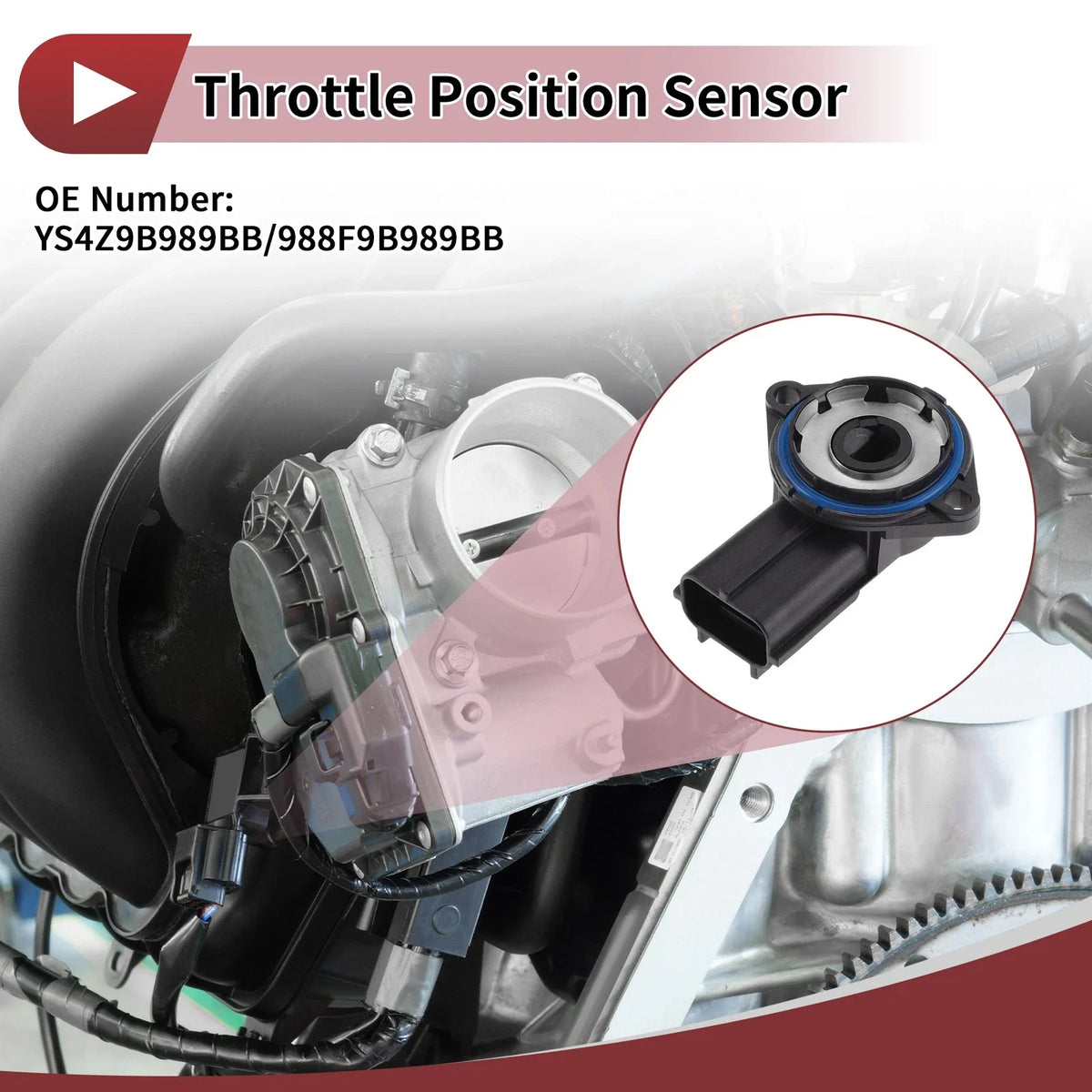 Throttle Position Sensor for Ford Escape 2.0L L4 (2001–2007) No.YS4Z9B989BB