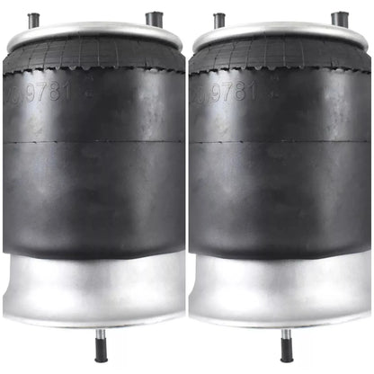 2X Air Spring for Freightliner Columbia (Replaces: 16-13810-000, AGO-9781, Firestone W01-358-9781)
