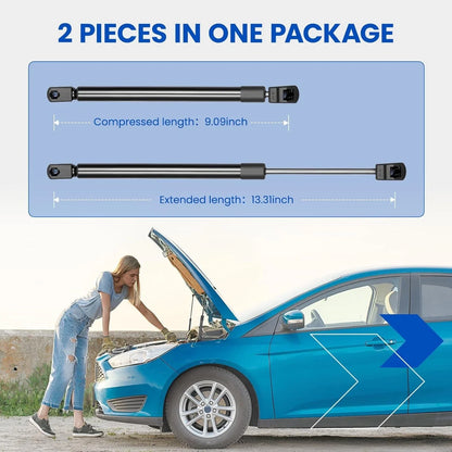 Lift Supports for Ford Expedition (4478 SG404016) (2003–2014)