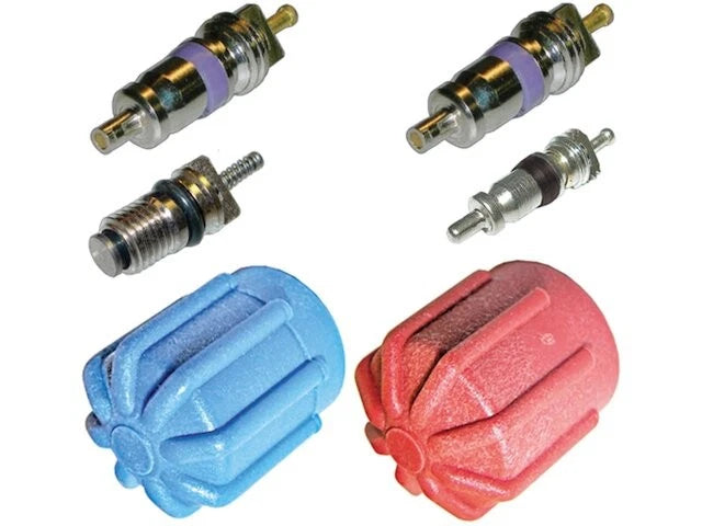 A/C System Valve Core and Cap Kit for Jaguar XK (2007–2013) 24711RWNP