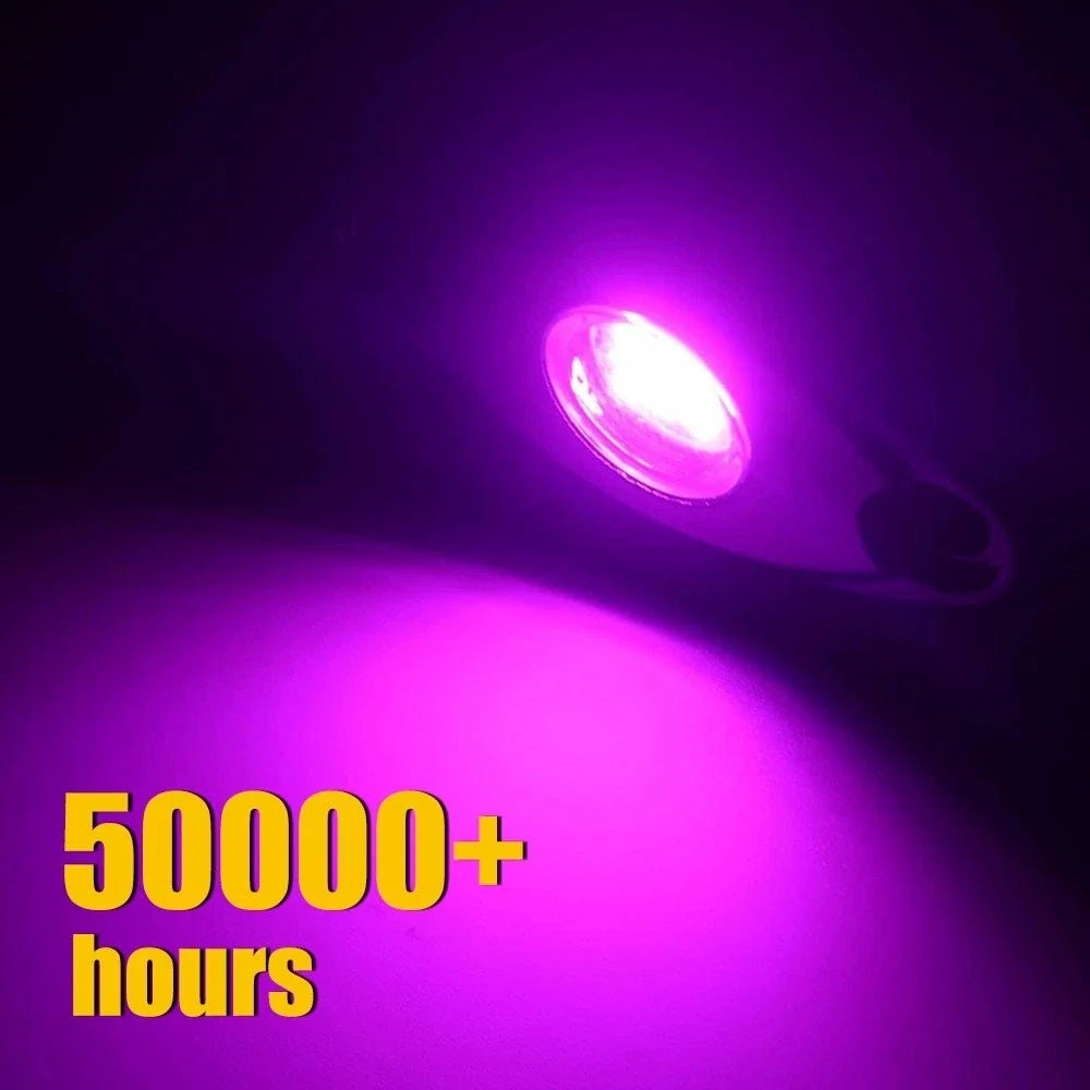 100X Purple Rock LED Underbody Lights for Jeep (Offroad, Truck, UTV, ATV)