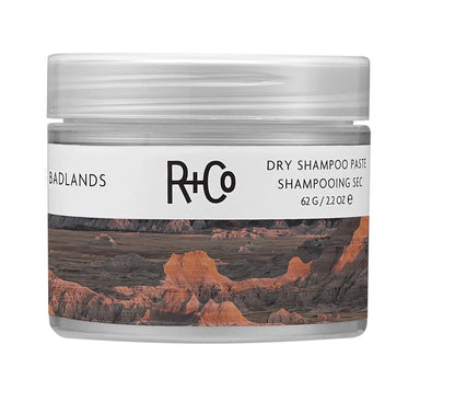 R+Co Badlands Dry Shampoo Paste for All Makes Models (Pack of 1)