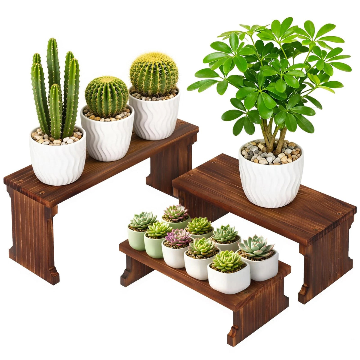 3 Tier Table Top Plant Stand for Home Decor (No Specific Years)
