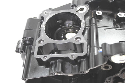 OEM Motor Engine Crank Cases for Kawasaki KLX230 SM (2023) 14101-0004