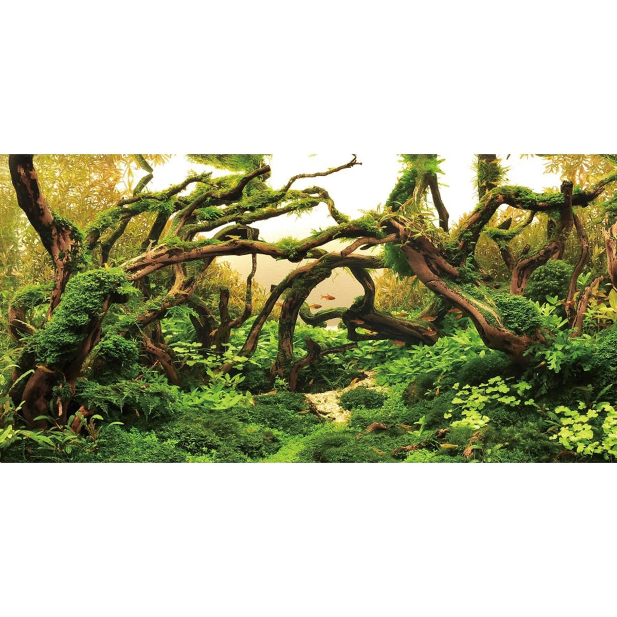 Aquarium Background 48x24 inches for Aquariums (No Part Numbers)