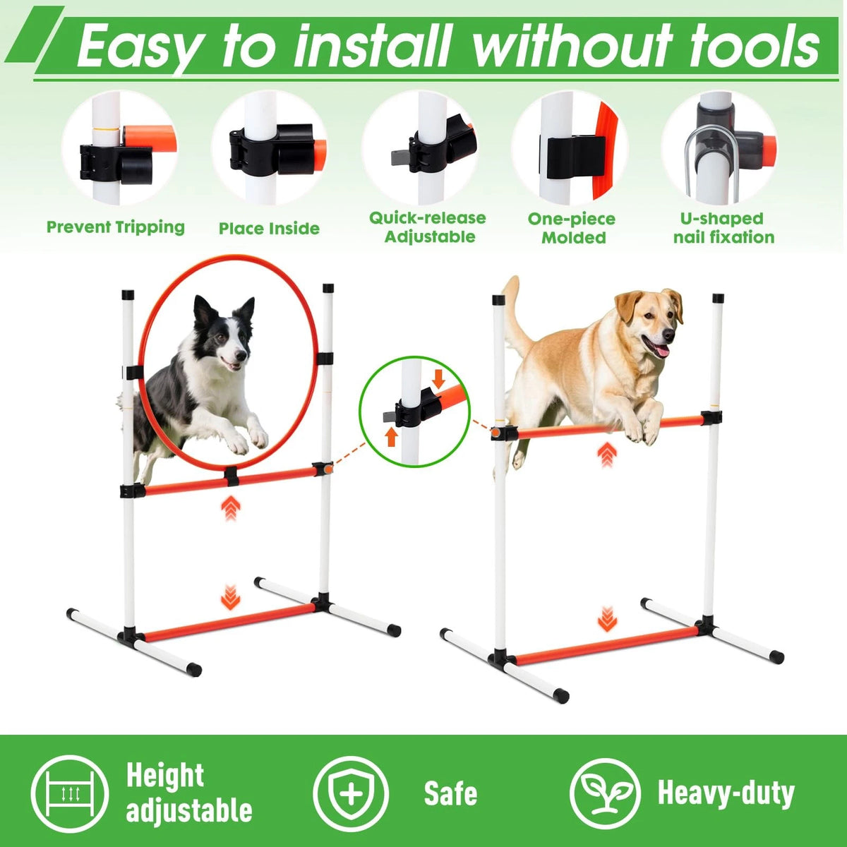 Dog Agility Course Set for Backyard Obstacle Training