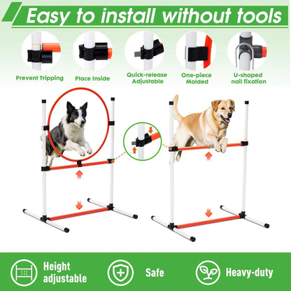 Dog Agility Course Set for Backyard Obstacle Training