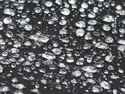Convertible Top Fabric Protectant for RAGGTOPP (14 Fl Oz) UV Water Repellent