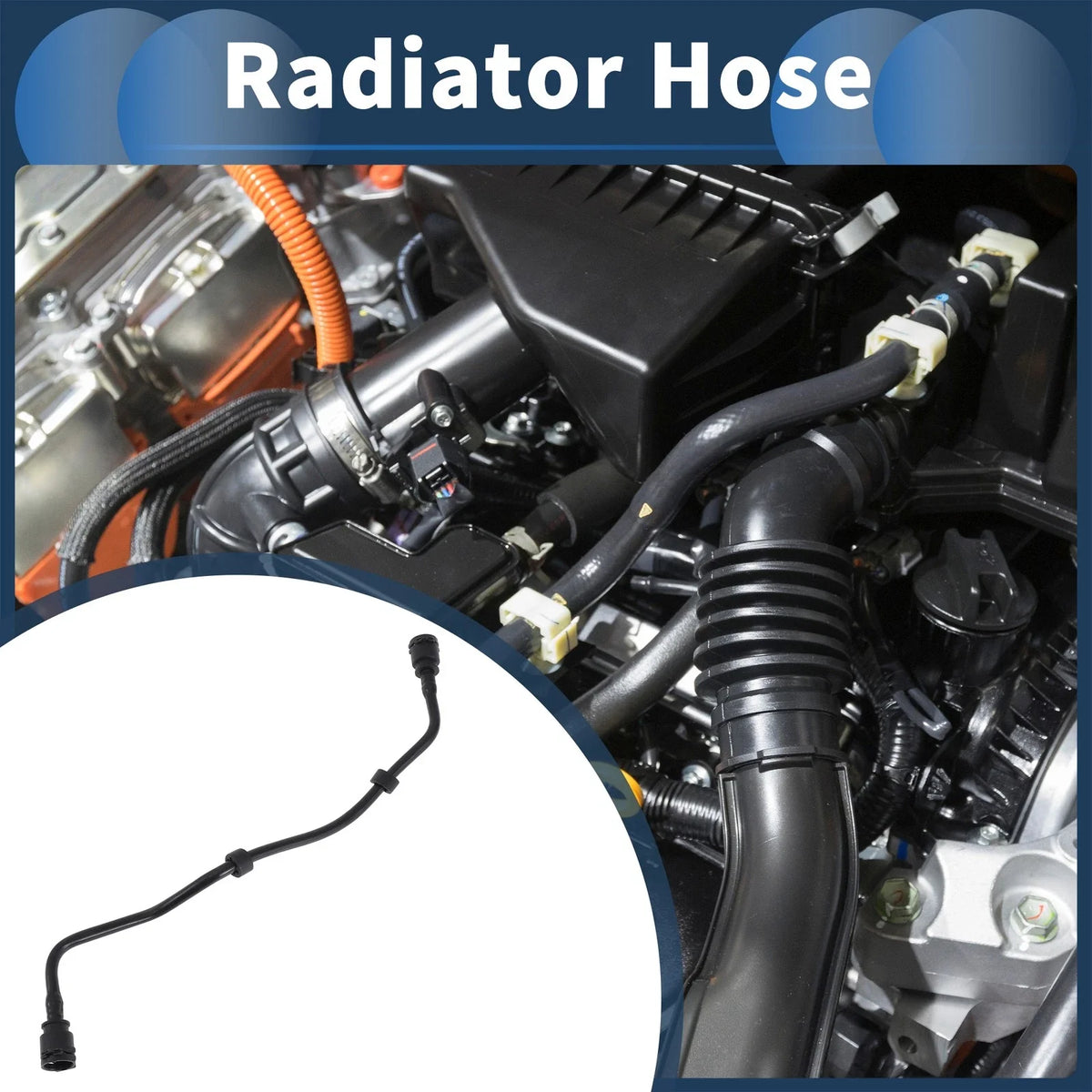 Radiator Hose 4.4L for BMW M550i xDrive (2018-2019)